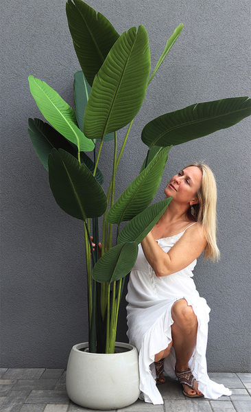 Bananowiec Concrete Bowl 2, sztuczna roślina w donicy