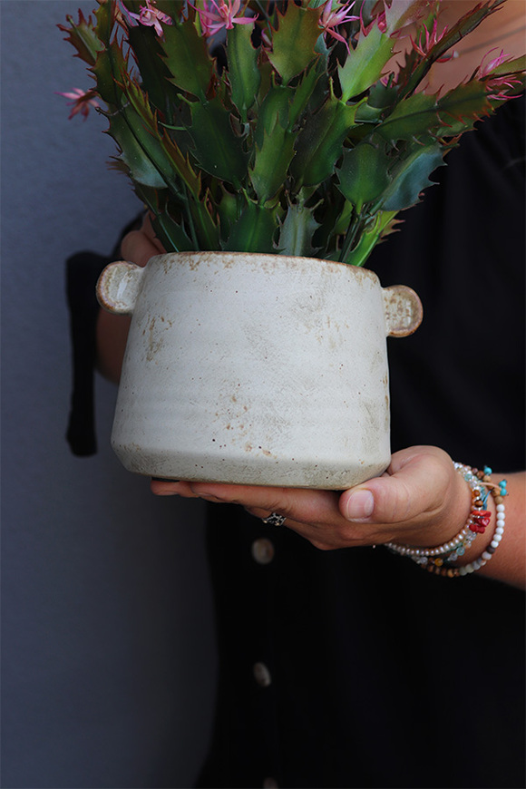 Bereno, zielona kompozycja z grudnikiem