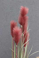 sztuczna trawa Pióropusze, róż