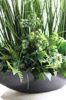 Laos Black Jedda, kompozycja ze sztucznymi trawami, wys.93cm