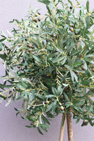 Drzewko Oliwne Hiltonka, sztuczna roślina w srebrnej donicy, wys.196cm