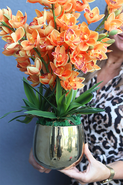 Orange Gold, sztuczny storczyk w doniczce