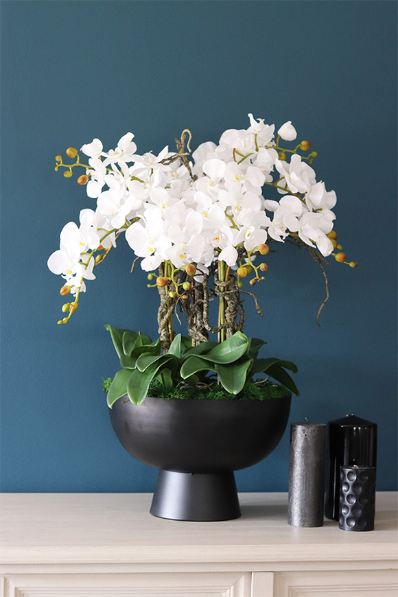 Black SImplicita, storczyk w metalowym pucharze, wys.77cm