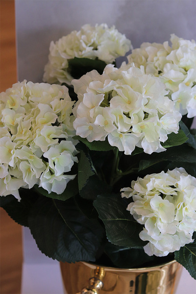 Hortensje Secret of Flowers, kompozycja kwiatowa w coolerze