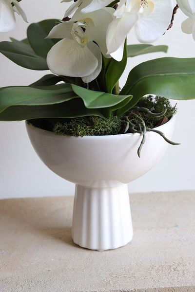 Leori, sztuczny storczyk w pucharze