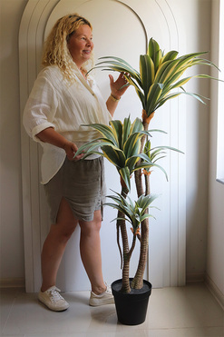 Dracena Warneckiego, wysokiej jakości sztuczna roślina, wym.140cm