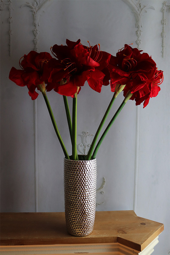 Amarylis Glamour, świąteczny bukiet kwiatów w wazonie