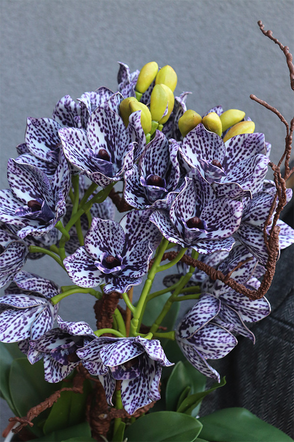 Modernita Japandi, storczyk cymbydium w doniczce