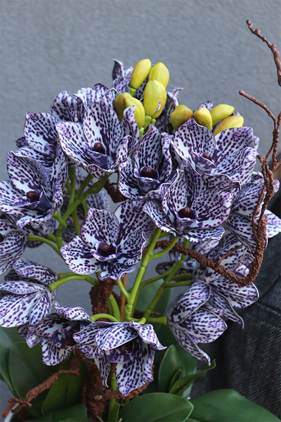 Modernita Japandi, storczyk cymbydium w doniczce