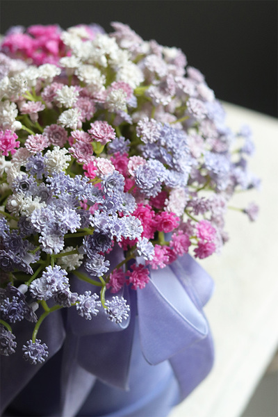 Kaszka Colors, flowerbox kwiatowy welurowy, gipsówka