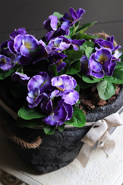 Anielska Wieś Volcan, fioletowe bratki w naczyniu, wys.28cm 