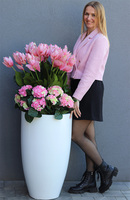 Medinilla Fiberglass, podłogowa dekoracja kwiatowa	