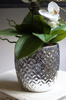 Silver Trettia, biały sztuczny storczyk w srebrnej donicy