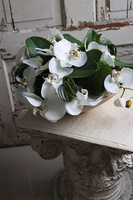 Dekoriano Wood, kompozycja z orchideą w drewnianej misie, wym.25x34cm