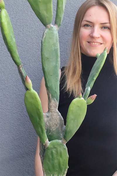 Kaktus Dakota New, sztuczna opuncja