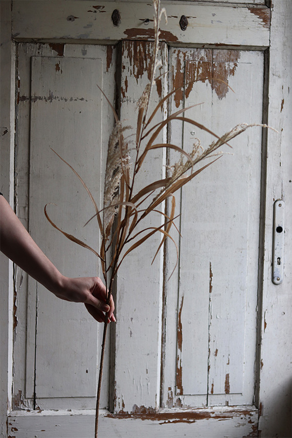 Boho London, sztuczna trawa z pióropuszami, gałązka, wys.117cm 