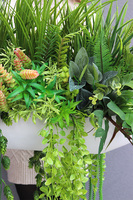 Big Laos Suculentano, kompozycja sukulenty w długiej donicy, wys.40x70cm