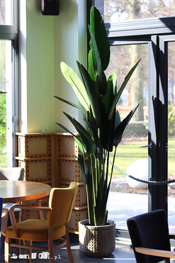 Bananowiec Boho, sztuczna roślina w donicy, wys.200cm 