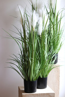 sztuczna trawa Pióropusze