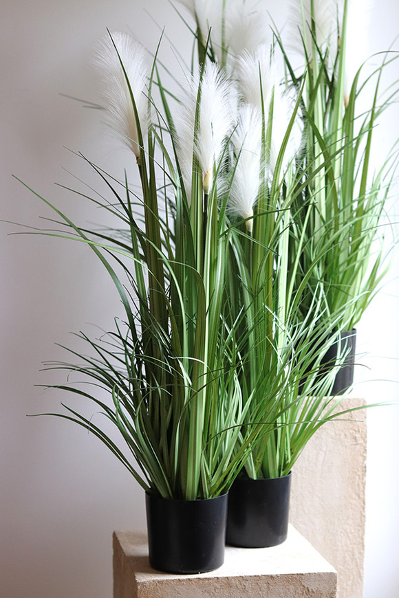 sztuczna trawa Pióropusze