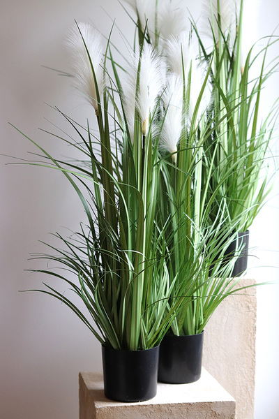 sztuczna trawa Pióropusze