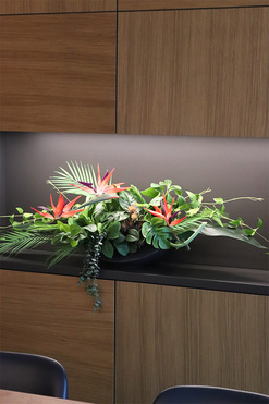 Strelicja Moko Jungle, dekoracja kwiatowa do wnęki, wym.28x80cm 