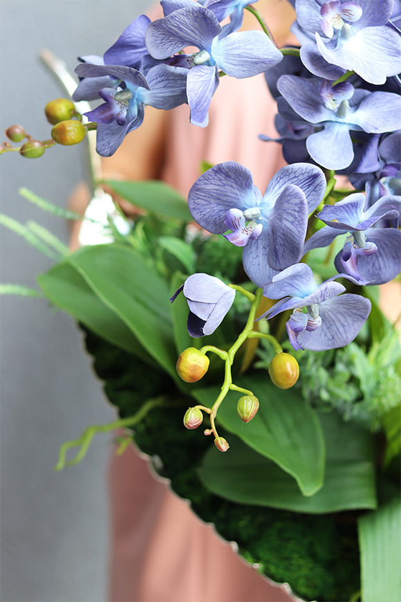 granatowy storczyk na srebrnej paterze, Blue Laonella