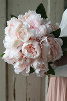 Morelia Easter, kompozycja w szarym pudełku