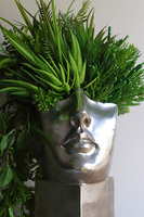 Suculentas Espana sukulenty w głowie kompozycja