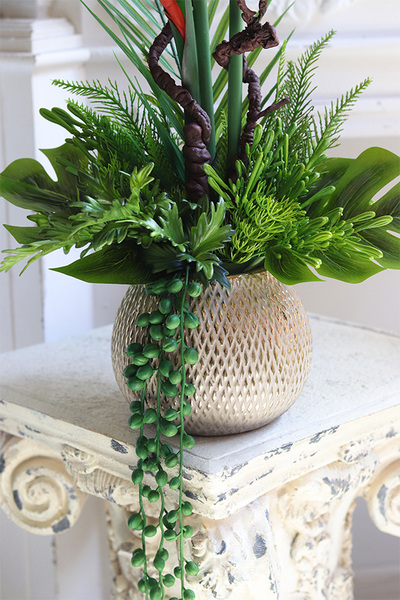 Strelicja Anite, kompozycja w złotej donicy