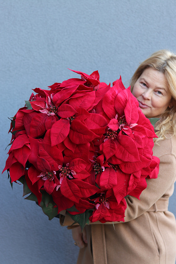 Gwiazda Betlejemska Precjoza, sztuczna roślina w donicy
