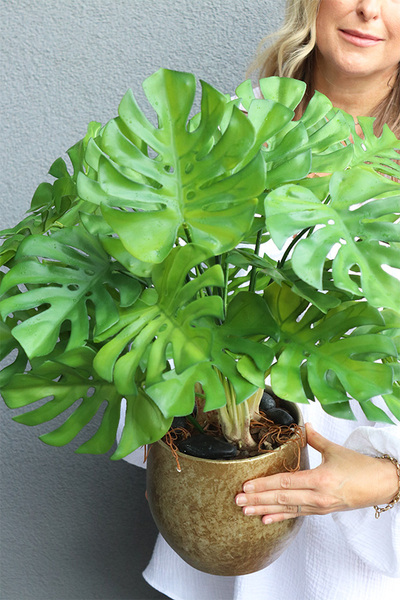 Monstera Gold Hilton, drzewko sztuczne w donicy