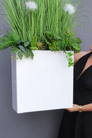 Fiberglass Marco Fretera 2, sztuczne trawy w białej donicy