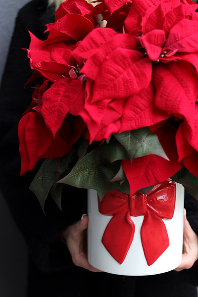 Gwiazda Betlejemska Kokarda, wysokiej jakości sztuczna roślina