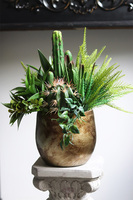 Green Cacti Hilton, sukulenty w złotej donicy