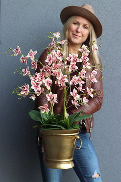 gumowy storczyk w złotym coolerze, Pink Golden Tresta, wys.72cm 