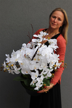 Metalia, storczyk w donicy klienta, wys.74cm