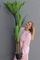 Jukka, sztuczna roślina drzewko