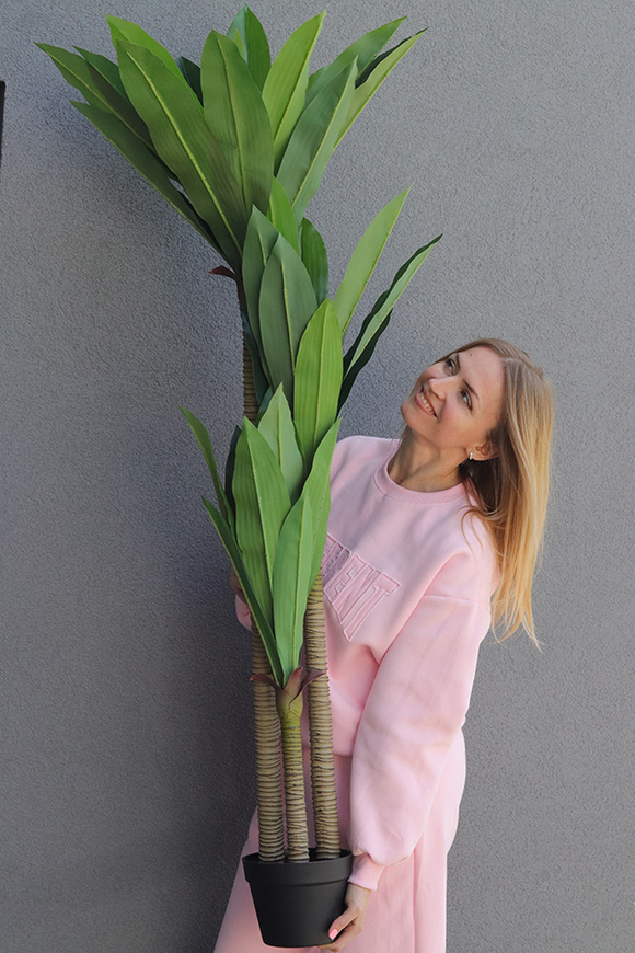 Jukka, sztuczna roślina drzewko