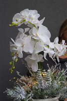 Frozen Orchid, elegancki storczyk zimowy w pucharze