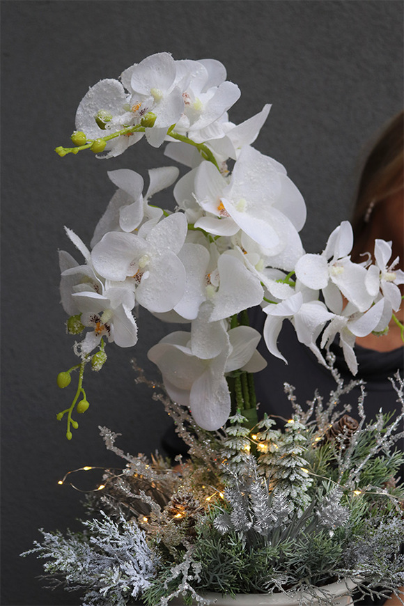 Frozen Orchid, elegancki storczyk zimowy w pucharze