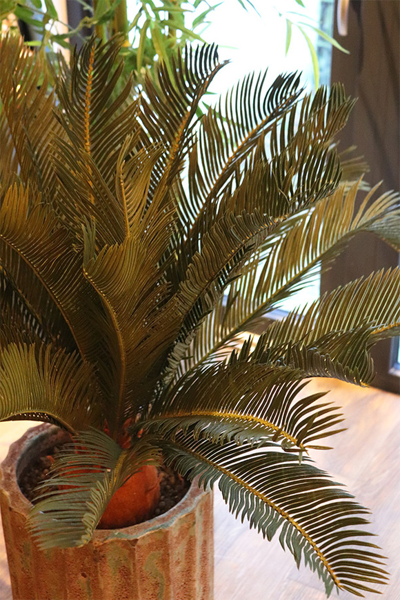 Cykas, sztuczna roślina (bez donicy), wys.100cm