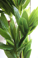 Dracena Szerokolistna, wysokiej jakości sztuczna roślina