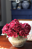 Eduardo Goldiena, kompozycja z bordowymi hortensjami, wys.29cm