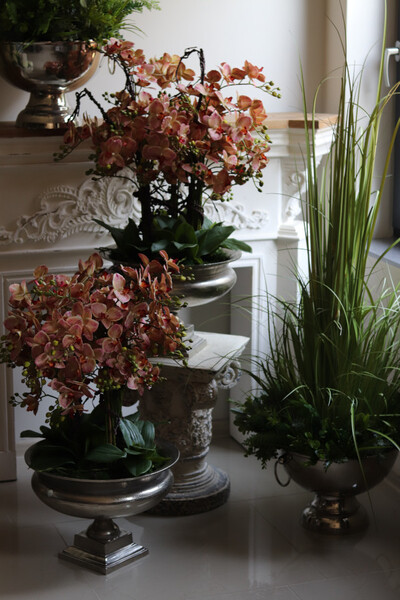 Castellamare Granada Deluxe, gumowy storczyk w pucharze