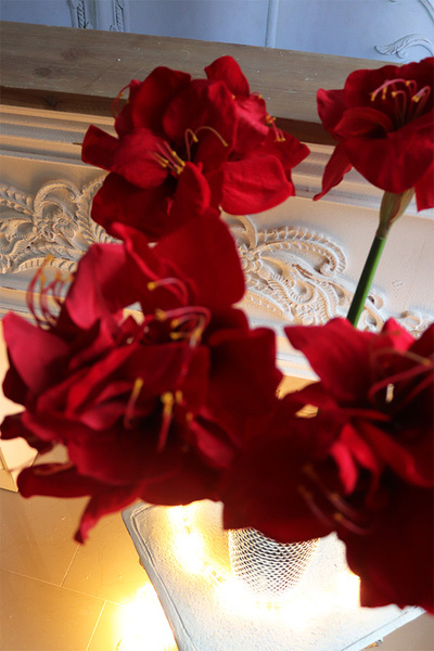 Amarylis Glamour, świąteczny bukiet kwiatów w wazonie