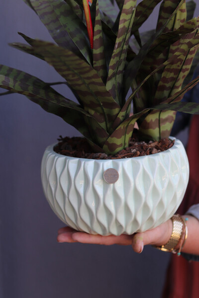Bromelia Pistacio, sztuczna roślina w doniczce