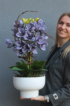 Modernita Japandi, gumowy storczyk cymbydium w doniczce, wys.60cm