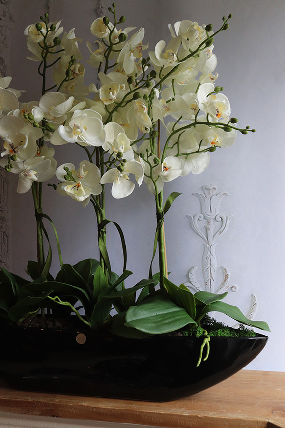 Laos Black Big, sztuczny storczyk w czarnej donicy, wys.65cm