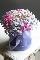 Kaszka Colors, flowerbox kwiatowy welurowy, gipsówka